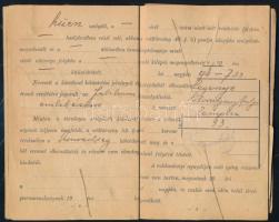 1908-1909 Népfölkelési igazolvány, M. kir. sátoraljaújhelyi 33. népfölkelő járás, Stefáncsik József,...