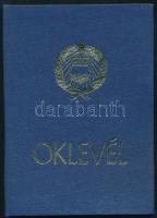 1976 MSZMP főiskolai oklevél Dimény Judit professzor részére