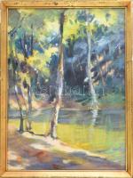 Mühl Aladár (1902-1981): Táj. Akvarell, karton, jelzett. Üvegezett fakeretben, 49,5×36 cm