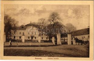 1926 Noszvaj, Gallasy (Galassy) kastély. Hollenzer műterméből (felületi sérülés / surface damage)