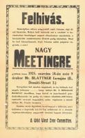 1925 Felhívás nagy meetingre, a Wild West Zree Committee humoros szövegű hirdetménye, Bp., Viola és Geist-ny., hajtva, kis sérülésekkel 42x26 cm