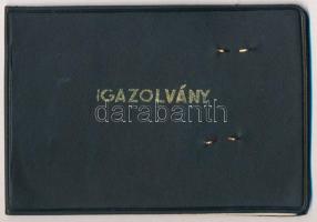 1983 MTA Csillagászati Kutató Intézet arcképes igazolványa