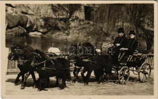 Budapest XIV. Székesfővárosi Állatkert, ötös ponnyfogat (póni). Hölzel Gyula felvétel