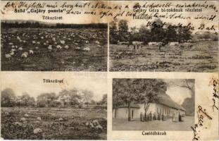 1914 Sződ, Gajáry puszta, Gajári Géza birtokának részletei, tökszüret, cselédházak + "CSÖRÖG POSTAI ÜGYN." (fl)