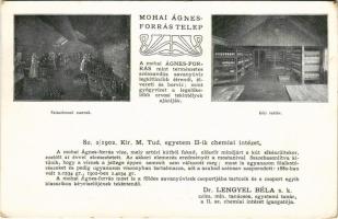 Moha, Mohai Ágnes forrástelep, kocsirakományok csomagolási helye és a kezelő személyzet. reklámlap / Hungarian mineral water advertisement (EK)