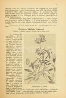 Gruber Ferenc: A gyep hasznos és káros növényei. Mosonmagyaróvár, 1942, "Mosonvármegye" Kö...