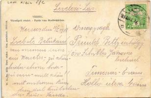 1912 Versec, Werschetz, Vrsac; Városliget. W.L. Bp. 6779. 1911-14. / park (fl)