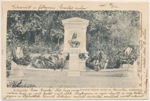 1905 Kolozsvár, Cluj; Erzsébet királyné (Sissi) szobor / Empress Elisabeth (Sisi) monument (EK)