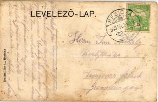 1909 Resica, Resita; Dománi és Berzava völgy, vasgyár. Montázs kislánnyal, Braunmüller L. kiadása / ...