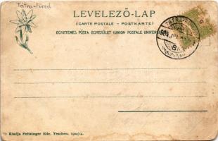 1904 Ótátrafüred, Altschmecks, Stary Smokovec (Tátra, Magas-Tátra, Vysoké Tatry); Sétatér, Pásztory ...