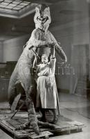 Elfelejtett képek. Kálmán Kata, Langer Klára, Reismann Marian, Sándor Zsuzsa, Vadas Ernő. Szerk.: Ke...