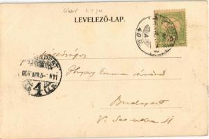 1905 Segesvár, Schässburg, Sighisoara; Petőfi szobor. Fritz Teutsch kiadása / monument