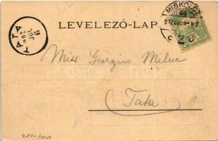 1902 Miskolc, Városháztér, Szemere utca, Erzsébet tér, Kossuth szobor. Lövy József fia kiadása, szec...