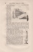 Baumgartner, Andreas:
Anfangsgründe der Naturlehre. Fünfte vermehrte Auflage mit 133 in den Text ei...
