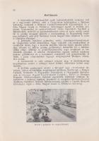 Gróf Széchenyi István jubileumi ünnepségek Balatonfüreden (1941). Írta és összeállította Gáspárdy Al...