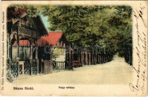 1905 Báznafürdő, Felsőbajom, Bad Baassen, Baiumul de Sus; Nagy sétány. Dr. Vajna Vilmos egyetemi magántanár felvétele után / promenade