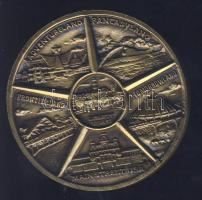 USA DN "Walt Disney World" Br emlékérem T:1