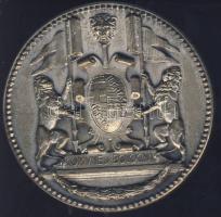 Olaszország DN "Comune di Bologna" fém emlékérem T:1-