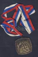 Szovjetunió DN "Moszkvai maraton" díjérem T:2 szalagon
