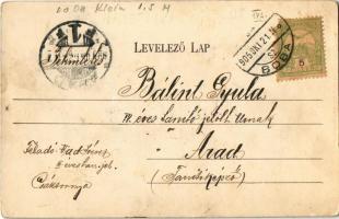 1905 Csáktornya, Cakovec; Zrínyi emlék. Fischel Fülöp (Strausz Sándor) kiadása / monument (EK)