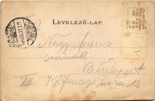 1900 Vác, Derecskei-tó. Divald Károly 354. sz. (EB)