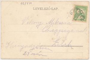 1909 Dés, Dej; 1848. november 24-én elesett honvédek emlékére emelet oroszlános szobor. Id. Décsey S...