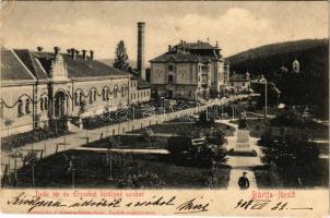 1908 Bártfa, Bártfafürdő, Bardejovské Kúpele, Bardiov, Bardejov; Deák tér és Erzsébet királyné szálloda. Eschwig és Hajts kiadása. Hajts Kornél felvétele / spa, square, hotel (fa)