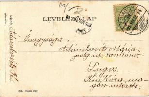 1905 Zombor, Sombor; Schweidel József szobor / monument