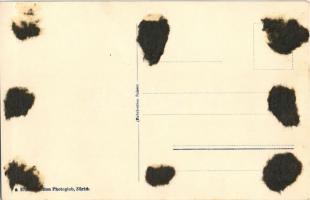 Rigi Kulm, Zahnradbahn / cogwheel railway, locomotive, train (gluemarks)