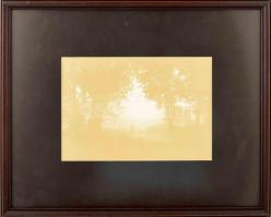 Kocsis István Tamás (1966-): Erdei fények (cím nélkül, El Camino?). Fotó, papír, jelzett, hátoldalán...