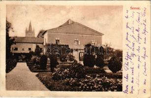 1909 Semse, Sömse, Semsa; Gróf Semsey László kastélya és park. Nyulászi Béla kiadása / castle and park (fa)