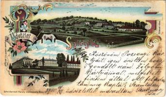 1900 Szliács, Sliac; látkép, fürdő. Schwidernoch Károly műintézete / general view, spa. Art Nouveau, floral, litho (EM)
