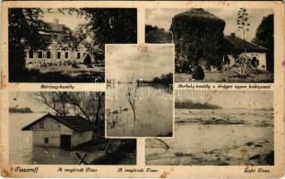 Tiszaroff, Bárczay kastély, Borbély kastély a virágzó agave kaktusszal, a megáradt Tisza, zajló Tisza. Özv. Lénárt D.-né kiadása (fl)