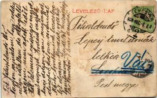 Temesvár, Timisoara; Osztrák-magyar bank / Austro-Hungarian bank (fl)