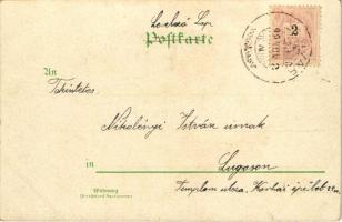 1899 (Vorläufer) Nürnberg, Nuremberg; Synagoge, Partie an der Insel Schütt, Stadtpark, Partie am Kön...