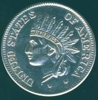 USA 1851. 1$ Ag ffm hamisítványa