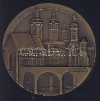 DN "Szeged" Br piefort emlékérem T:2