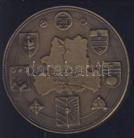 DN "Szeged" Br piefort emlékérem T:2