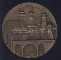 DN "Szeged" Br piefort emlékérem T:2