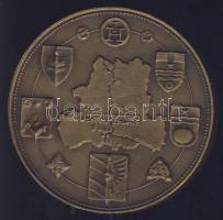 DN "Szeged" Br piefort emlékérem T:2