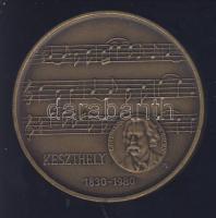 1980. "MÉE - Keszthely" Br emlékérem T:2
