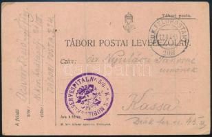 1915 Tábori posta levelezőlap K.u.K. FELDPOSTAMT / 208 , K.u.K. MOBILES RESERVESPITAL Nr. 5/6.