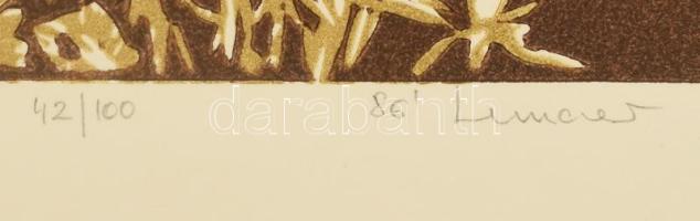 Lunczer Anikó (1942-): Bogáncs. Színes linómetszet, papír, jelzett, művészpéldány E.A. jelzéssel, sz...