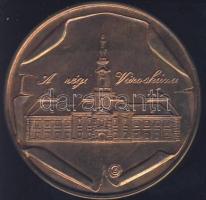 1983. "Szeged - Városháza" Br emlékérem T:P