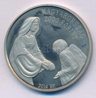 2014. 2000Ft Cu-Ni "A Magyar Máltai Szeretetszolgálat 25. évfordulója" T:PP patina
Adamo ...