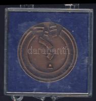 1979. "1879-es árvíz" Br emlékérem eredeti plombált tokban T:2