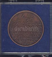 1979. "1879-es árvíz" Br emlékérem eredeti plombált tokban T:2