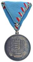 2001. "Az Árvízvédelmi Tevékenység Elismerésére" ezüstözött bronz kitüntetés mellszalagon ...