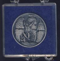 1978. "Mezőtúr" ffm emlékérem eredeti plombált tokban T:1