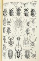 Budapest természeti képe. Szerk.: Dr. Pécsi Márton. Budapest Földrajza I. Budapest Földrajza I. köt....